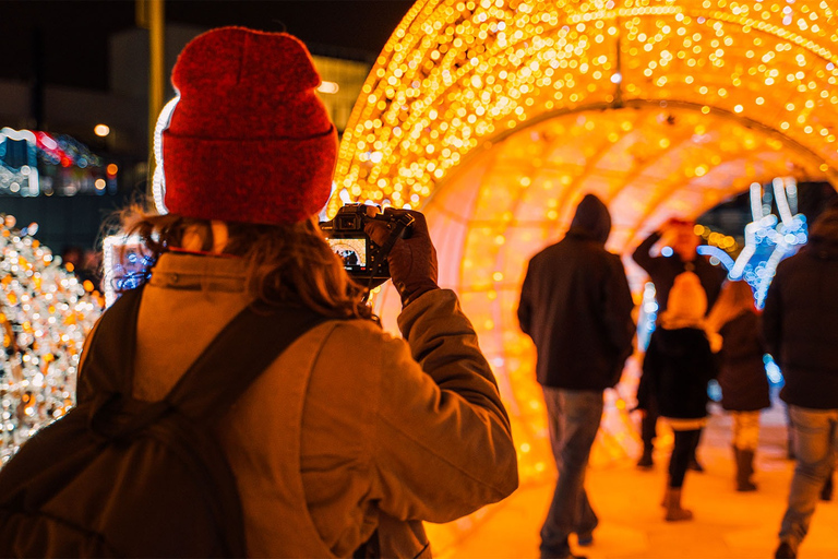 Washington, DC: Winter City Lights Experience