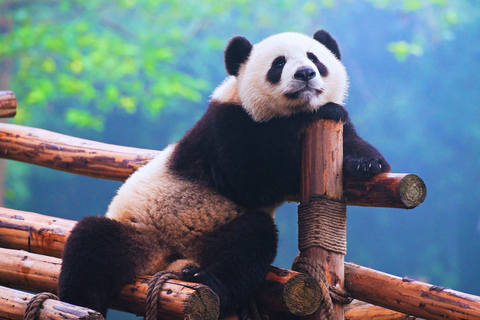 Beijing: Summer Palace Guided Tours & Top Park Combos Private Summer Palace & Old Summer Palace Park Walk Tour