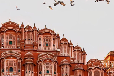 From Agra: To Jaipur Full Day Tour Jaipur All Inclusive Tour & Agra Drop Off