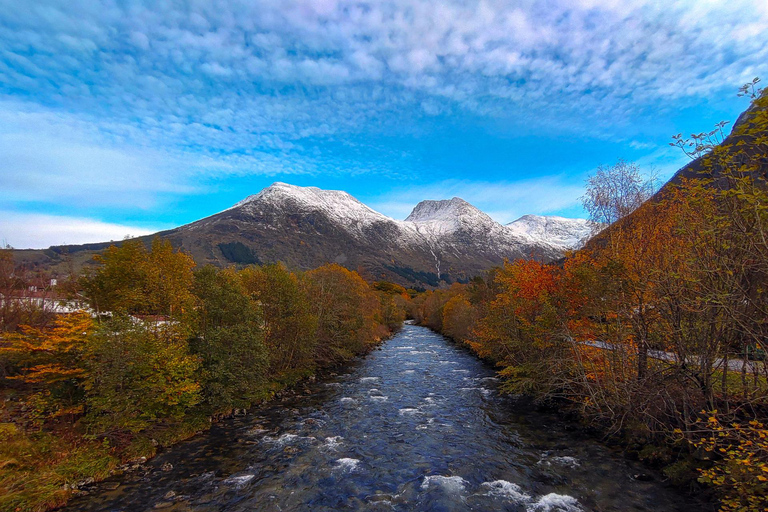 Bergen: Cruise to beautiful Rosendal by the Hardangerfjord