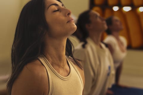 Yoga & Brunch at Sun Studio in the Old Port