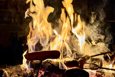 Rovaniemi: Northern Lights Safari on Electric Snowmobile