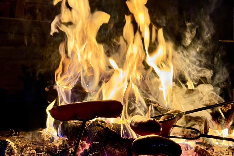 Rovaniemi: Northern Lights Safari on Electric Snowmobile