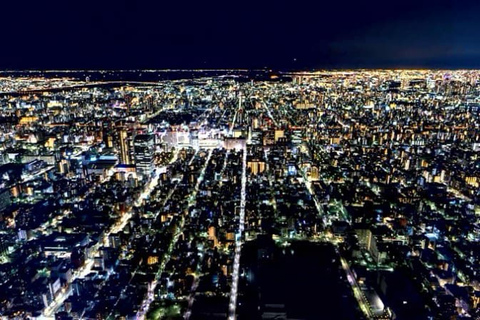 Tokyo Tour privado de un día con conductor de habla inglesa