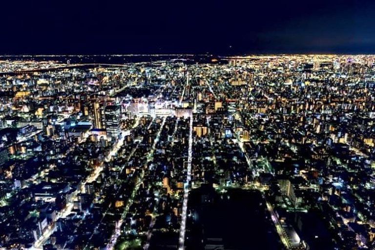 Tokio: Tour privado de un día con conductor de habla inglesa