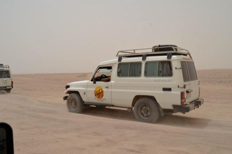 Hurghada: Quadriciclo, buggy, safári de jipe, passeio de camelo e jantarServiço de busca no hotel em Hurghada