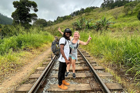 Ella: All-Inclusive 5 Icons Tour with Train Ride