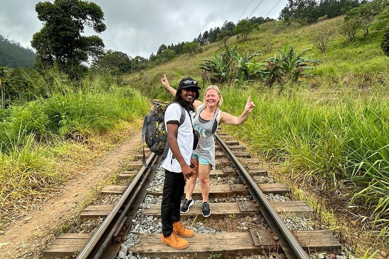 Ella: All-Inclusive 5 Icons Tour with Train Ride