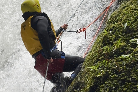 Christchurch: Tui Canyon Half-Day Canyoning Adventure