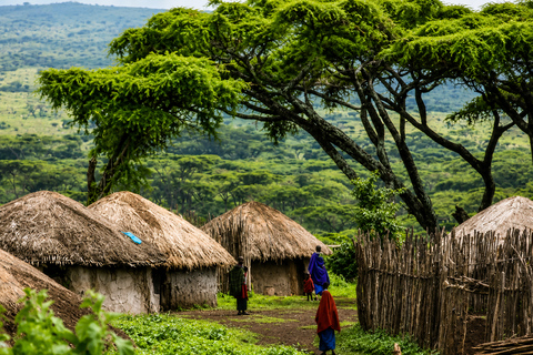 From Moshi: Chagga Village & Traditional Coffee Experience
