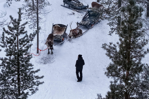 Saariselkä : Reindeer Sleigh Ride with Snacks & Hot Drink