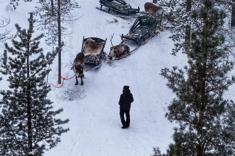 Saariselkä : Reindeer Sleigh Ride with Snacks & Hot Drink