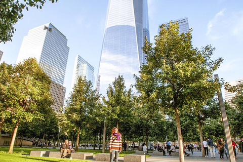 Monumentos y Mercados: Tour de la Libertad, las Finanzas y la Historia de Nueva York