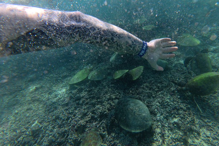 From Muscat: Dimaniyat Islands Snorkeling Tour with Lunch Dimaniyat Snorkeling Cruise with Snacks & Transfers