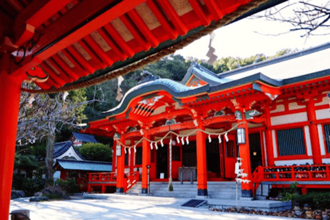 Osaka/Kyoto: Mount Koya &amp; Wakayama Privat dagsutflykt med guideRundresa från Osaka