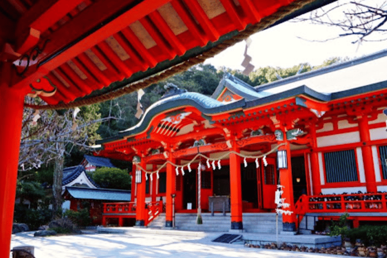 Osaka/Kyoto: Mount Koya &amp; Wakayama Privat dagsutflykt med guideRundresa från Osaka