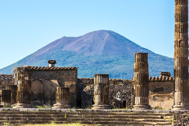 Desde Nápoles: Visita a Pompeya y cata de vinos del Vesubio con almuerzoPara pasajeros de cruceros