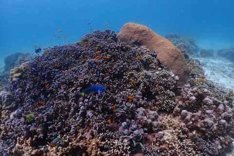 Khao Lak: Excursão Premium às Ilhas Racha com mergulho com snorkel e almoçoDe Khao Lak: passeio de lancha às Ilhas Racha com snorkel