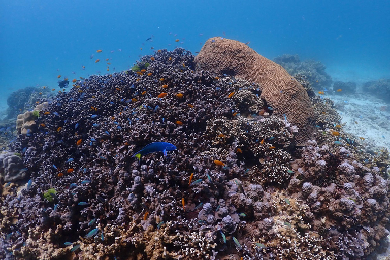 Khao Lak: Excursão Premium às Ilhas Racha com mergulho com snorkel e almoçoDe Khao Lak: passeio de lancha às Ilhas Racha com snorkel