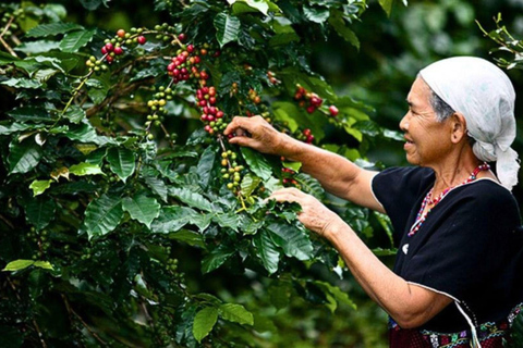 Chiang Mai : Punti salienti del Parco Nazionale Doi Inthanon