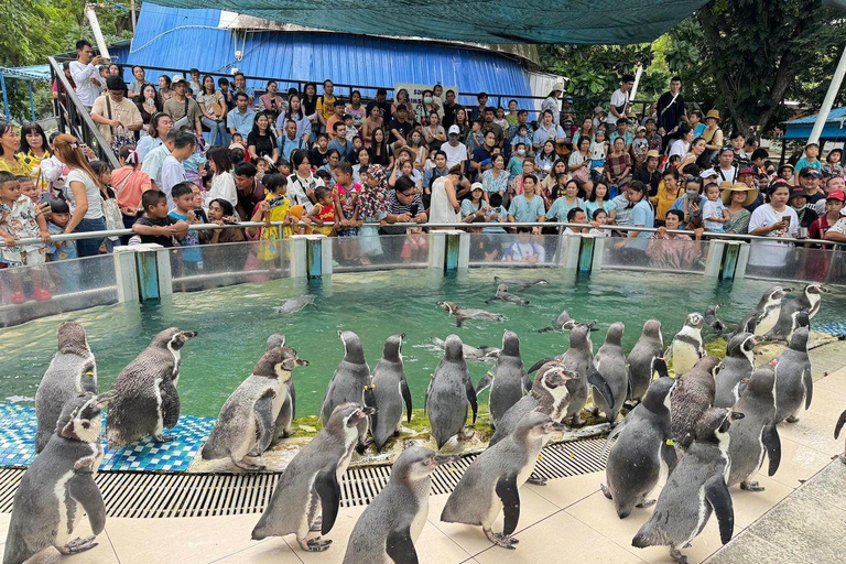 Da Bangkok a Moo Deng: trasferimento privato allo zoo di Khao Kheow