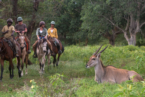 Arusha: Paseo a caballo y puesta de sol