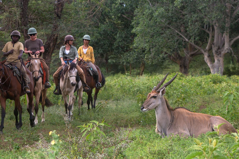 Arusha: Paseo a caballo y puesta de sol