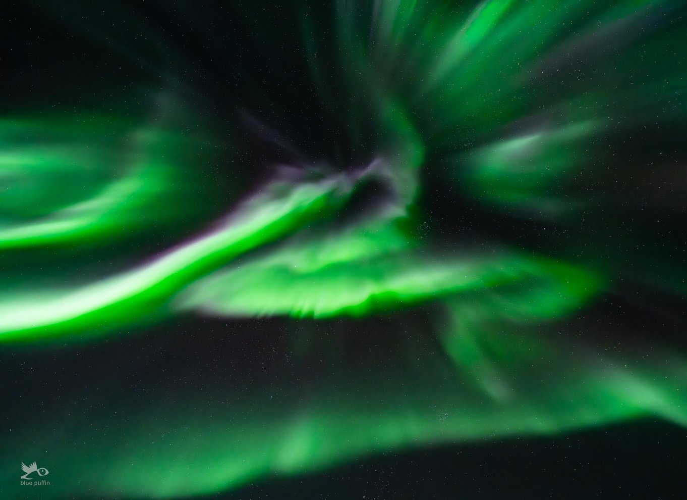 Tromsø: Nordlys i minibus med gratis fotos og et varmt måltid