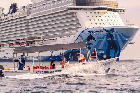 Cabo San Lucas: Tour al Arco en Barco Fondo de Cristal