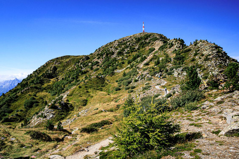 Innsbruck: Circular hike on the Patscherkofel