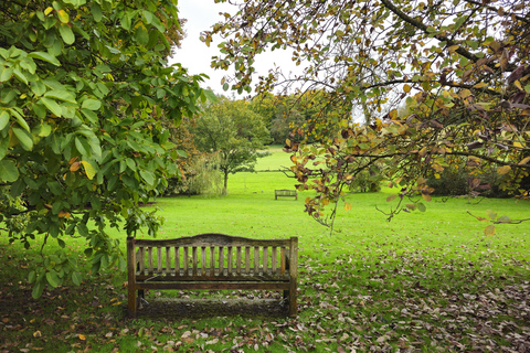 Chawton et Alton : visites des lieux préférés de Jane Austen