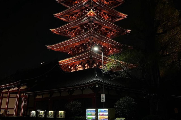 Tokyo Night Private Tour With English Speaking Driver