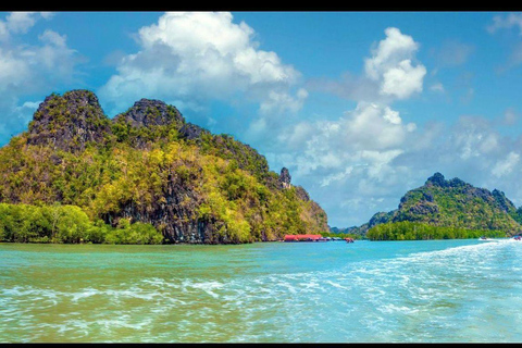 Langkawi: Kilim Nature Park Mangrove Boat Tour, UNESCO Site 3 Hours Mangrove Safari