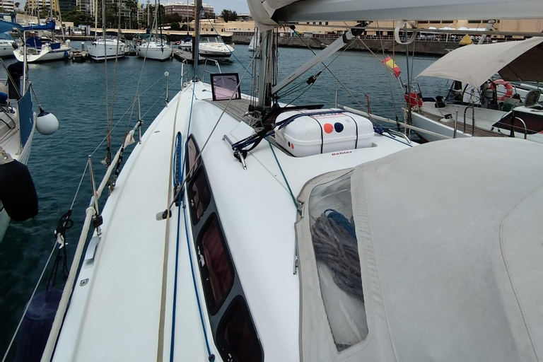 Las Palmas: Enjoy an exclusive experience of 4 or 7 hours. Las Palmas: 7-hour sailing experiences.