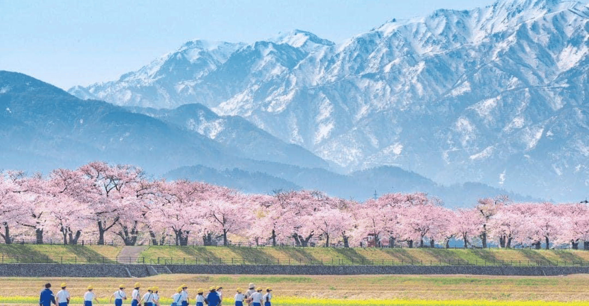 Da Tokyo, MT Fuji Hakone Owakudani Valley Tour privato - Hizvo