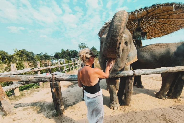 Visite du sanctuaire des éléphants et du temple de Banteay Srey au Cambodge