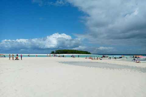 Excursão de meio dia aos golfinhos e mergulho com snorkel em Mnemba (viagem compartilhada)