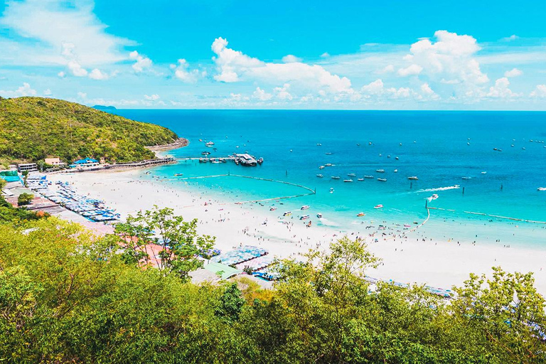 Pattaya: Coral Island（Koh Larn）Day Trip with seafood Lunch Package H：Basic Pack