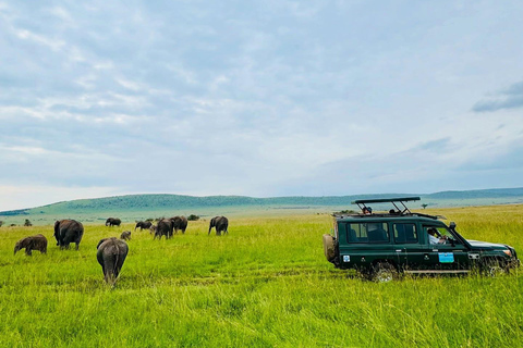Diani/Mombasa: Private Tsavo East Day Safari in 4x4 Cruiser.