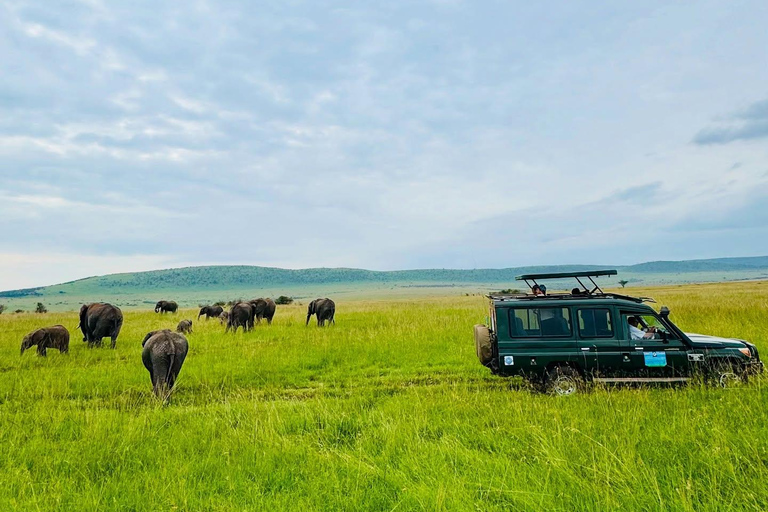 Diani/Mombasa: Private Tsavo East Day Safari in 4x4 Cruiser.
