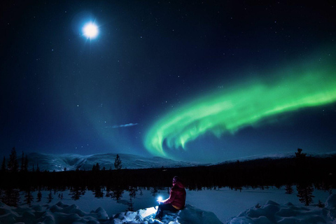 Rovaniemi : Circuit de chasse aux aurores boréales avec garantie