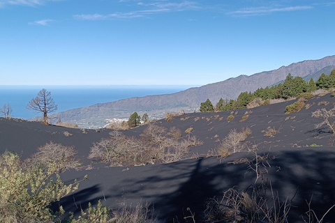 Tajogaite Volcano: the official route with a certified local guide