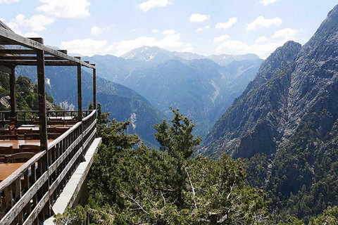 Kreta: Botanisches &amp; Bergabenteuer mit lokalem Essen