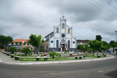 São Paulo : visite guidée des sites incontournables avec un guideSão Paulo : visite en petit groupe de 2 heures des sites incontournables