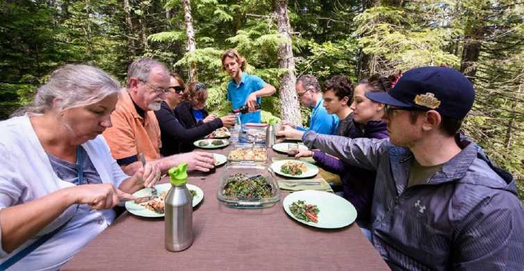 Seattle: Mount Rainier Park All-Inclusive Small Group Tour