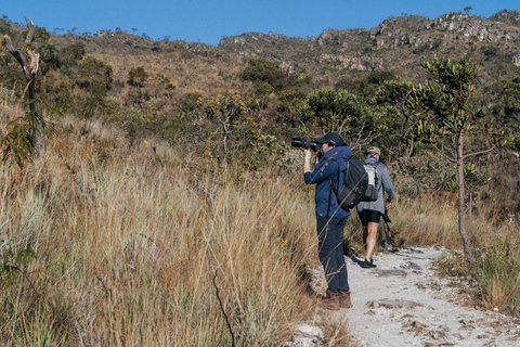From São Paulo: 5-Day Serra da Canastra Wildlife Safari