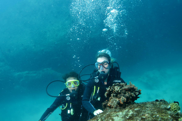 Nurkowanie w Paraty w Ocean Reefs – 45-minutowa wycieczka