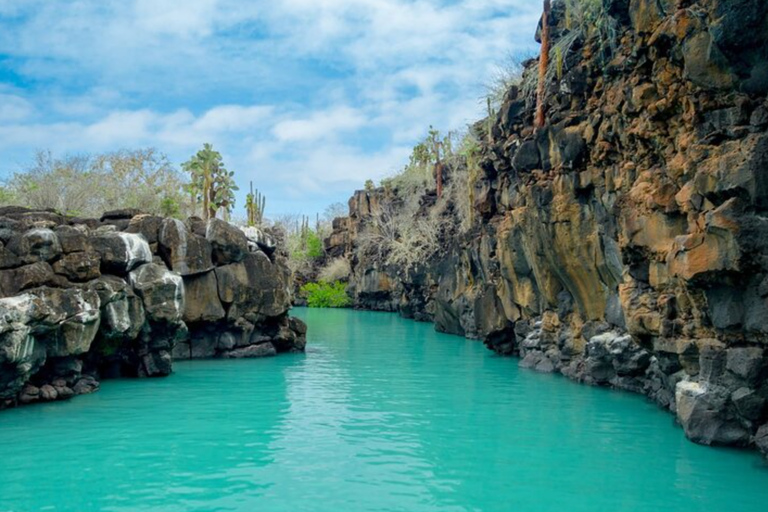 Quito: 7-Day Andes and Galápagos Islands Tour