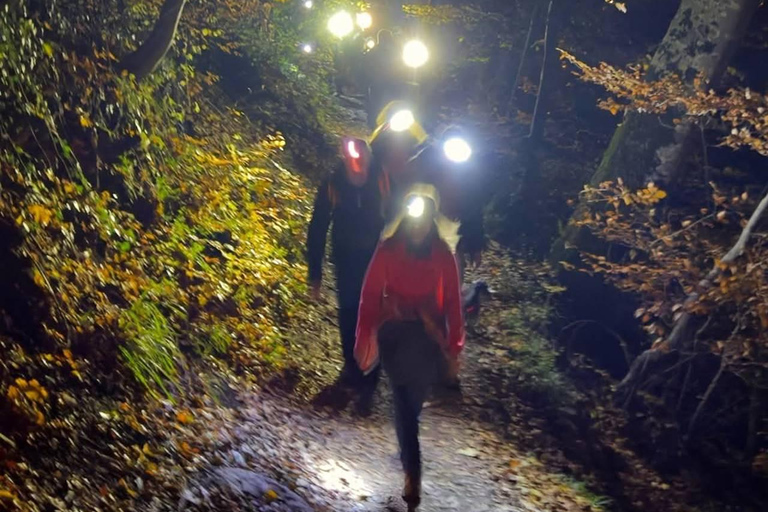 Brașov: Night Hike to the Brașov Sign with Guide