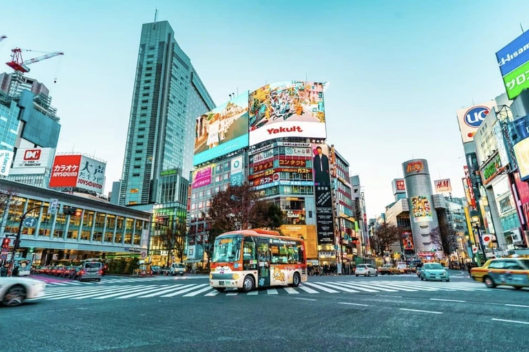 Tokyo Private Tour with English speaking driver Luxury Minivan(1 - 6)